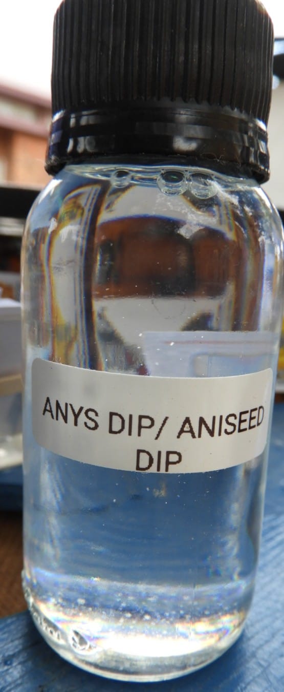 Fanie's Anys Dip